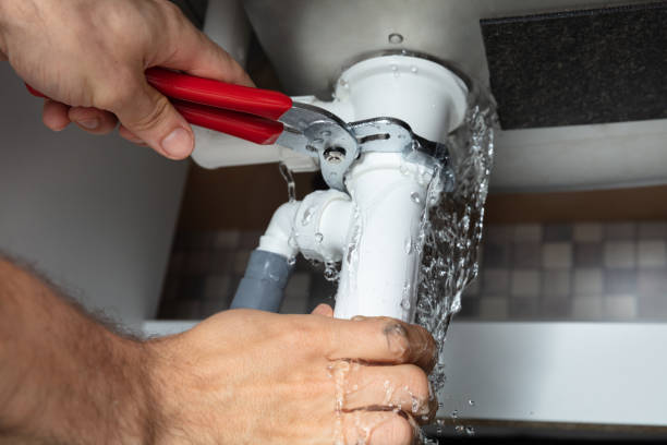 Best Water damage contractors near me  in Jefferson, WI