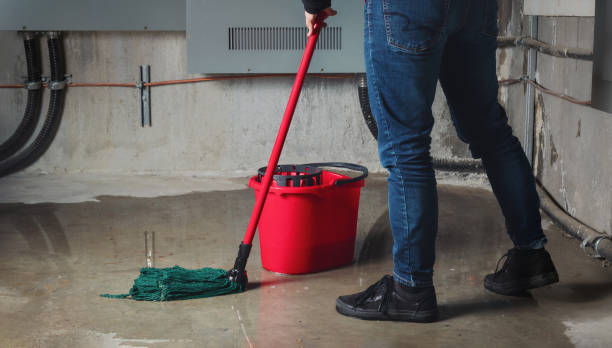 Best Residential water damage restoration  in Jefferson, WI