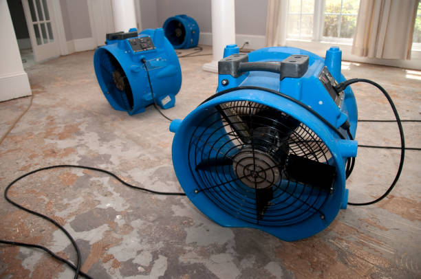 Best Mold removal after water damage  in Jefferson, WI