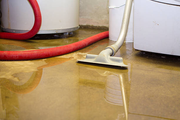 Best Carpet water damage restoration  in Jefferson, WI