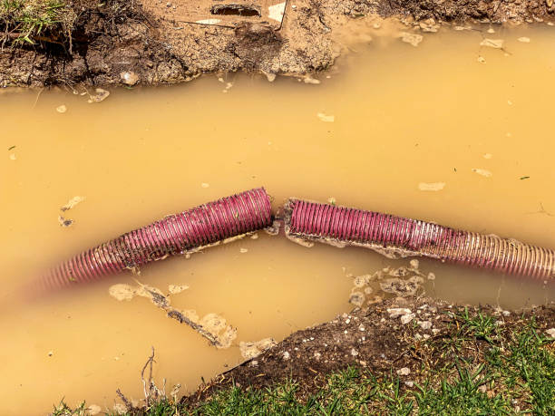 Best Water damage restoration company  in Jefferson, WI