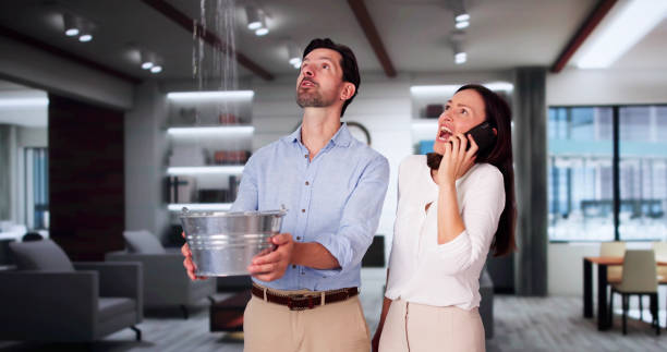 Best Water damage cleanup near me  in Jefferson, WI